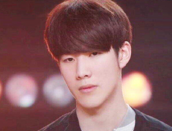 增添了不少 增添了不少