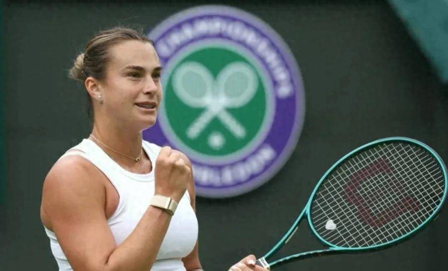 丹麦组合的 丹麦组合的