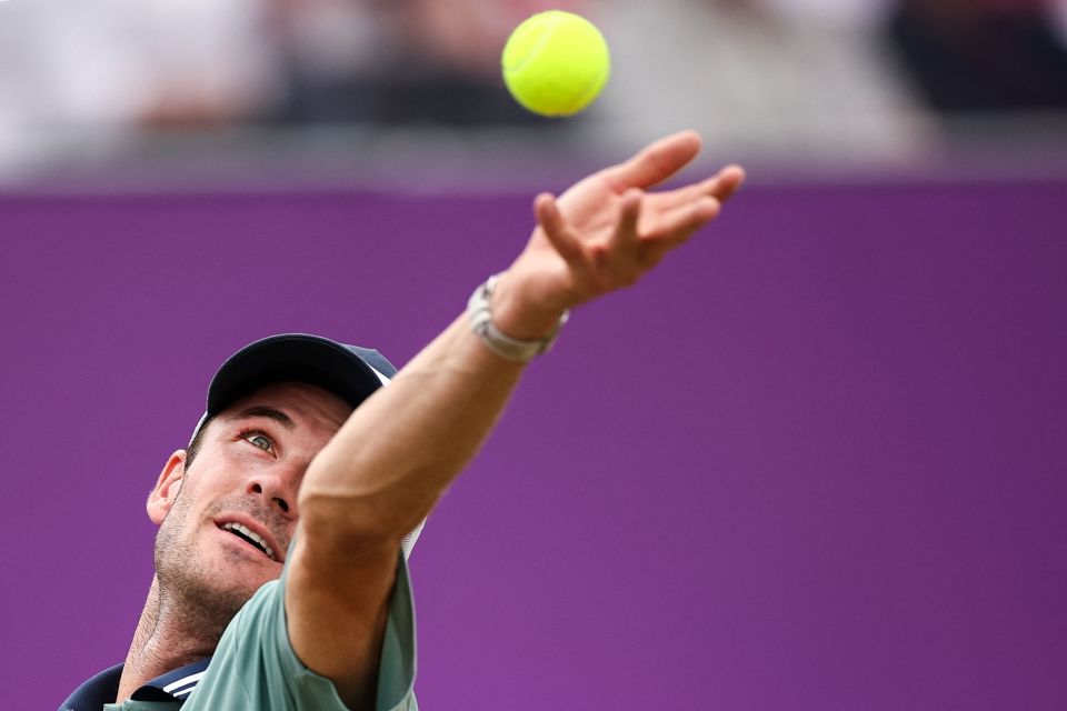 长期稳定的 长期稳定的